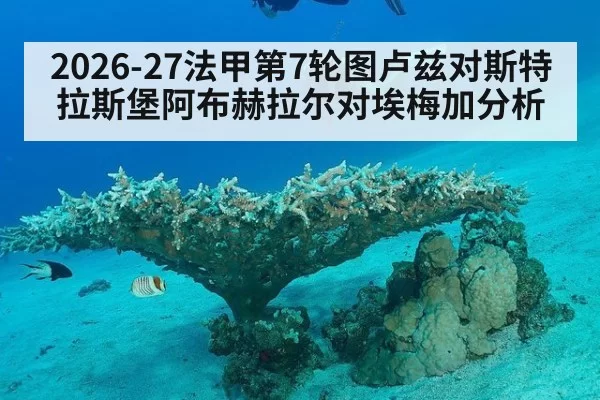 2026-27法甲第7轮图卢兹对斯特拉斯堡阿布赫拉尔对埃梅加分析